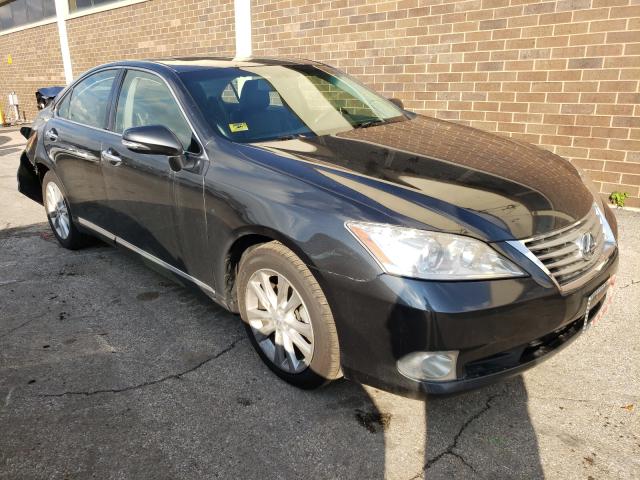 LEXUS ES 350 2010 jthbk1eg5a2395537