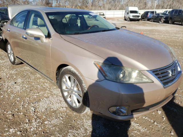 LEXUS ES 350 2010 jthbk1eg5a2400669