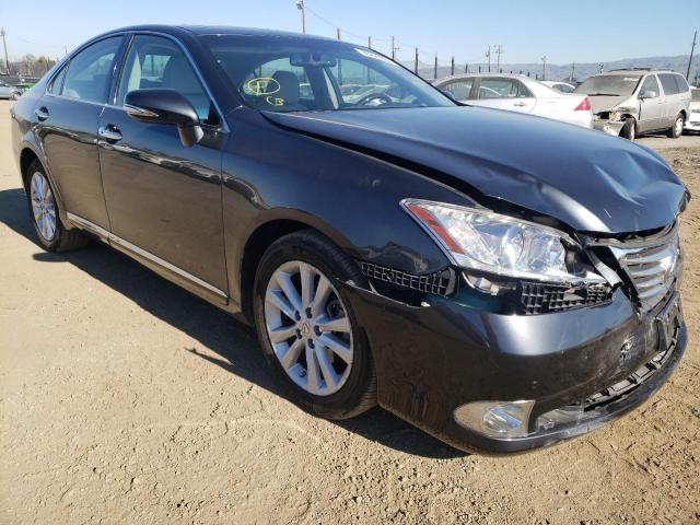 LEXUS ES 350 2010 jthbk1eg5a2402146