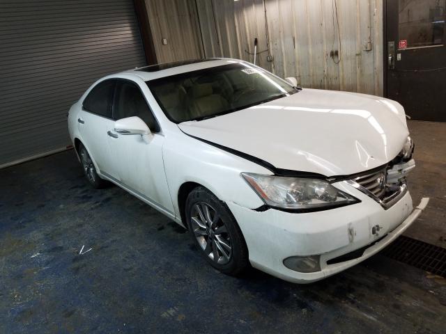 LEXUS ES 350 2010 jthbk1eg5a2403734