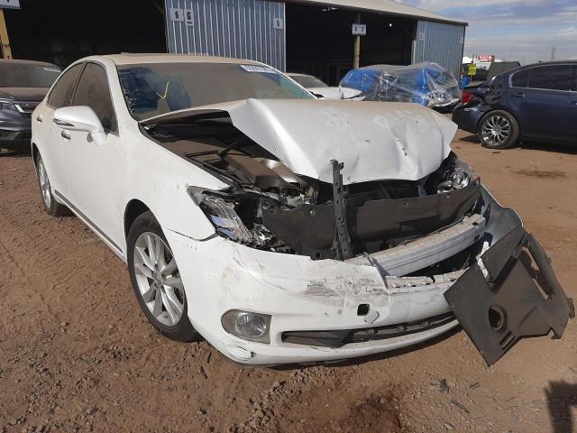 LEXUS ES 350 2010 jthbk1eg5a2406598