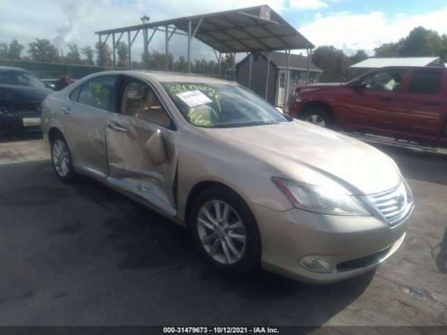 LEXUS ES 350 2010 jthbk1eg5a2407573