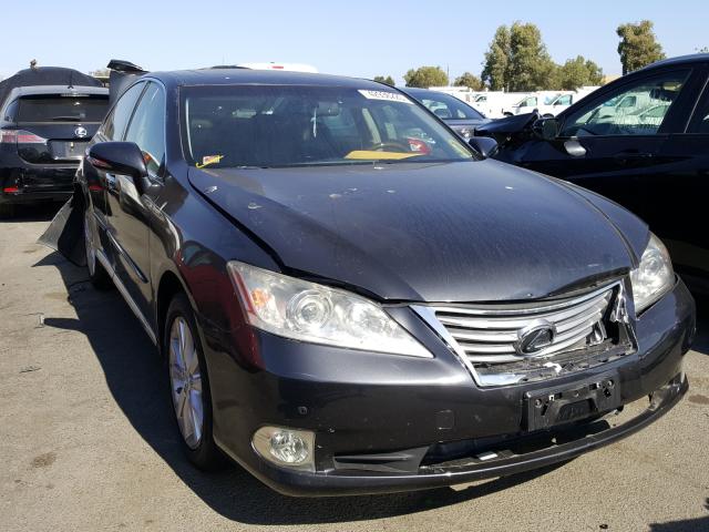 LEXUS ES 350 2010 jthbk1eg5a2411736