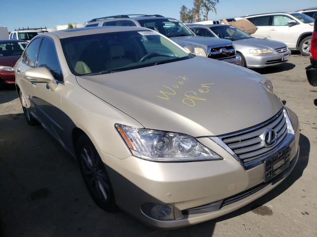 LEXUS ES 350 2010 jthbk1eg5a2413292