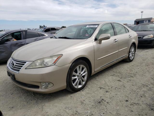 LEXUS ES 350 2010 jthbk1eg5a2413907