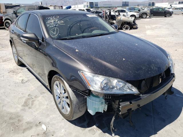 LEXUS ES 350 2012 jthbk1eg5c2496211