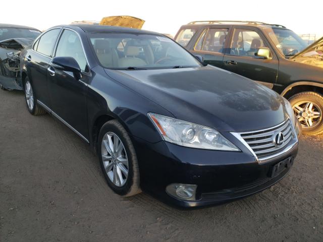 LEXUS ES 350 2010 jthbk1eg6a2344449