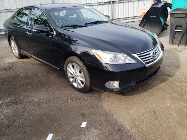 LEXUS ES 350 2010 jthbk1eg6a2344855