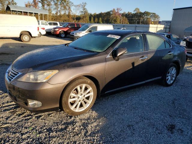 LEXUS ES 350 2010 jthbk1eg6a2351563