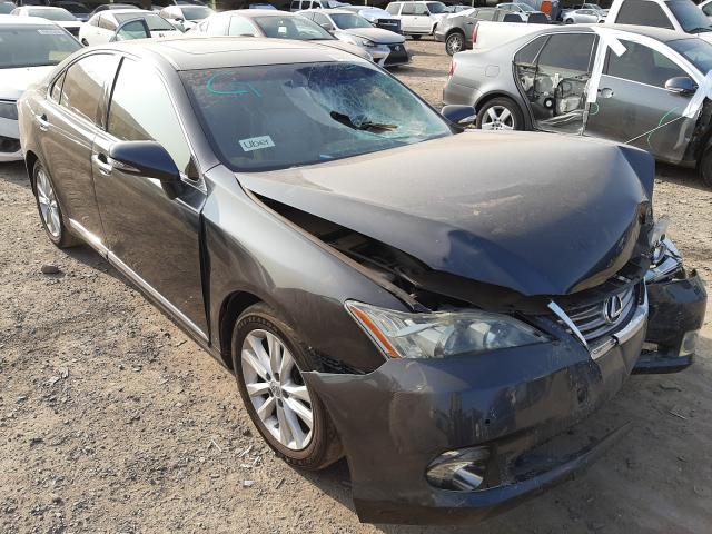 LEXUS ES 350 2010 jthbk1eg6a2352566