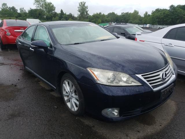 LEXUS ES 350 2010 jthbk1eg6a2353488