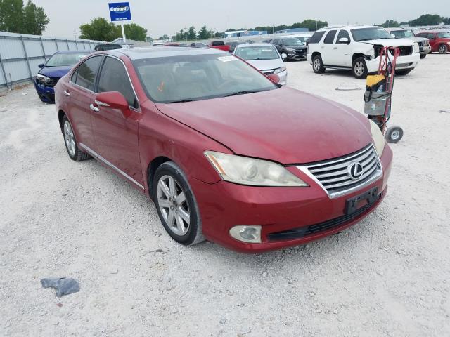 LEXUS ES 350 2010 jthbk1eg6a2353751