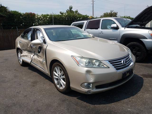 LEXUS ES 350 2010 jthbk1eg6a2354298