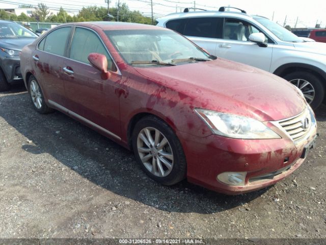 LEXUS ES 350 2010 jthbk1eg6a2356312