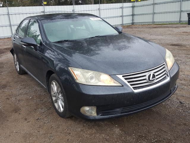 LEXUS ES 350 2010 jthbk1eg6a2356522