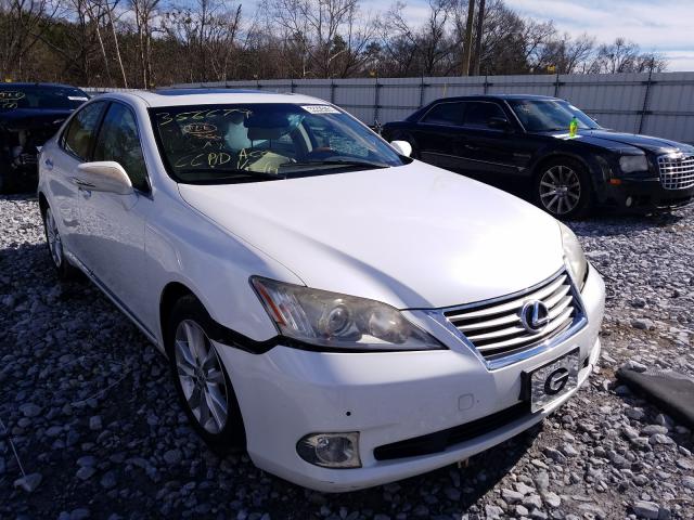 LEXUS ES 350 2010 jthbk1eg6a2356679