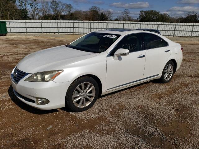 LEXUS ES 350 2010 jthbk1eg6a2358335