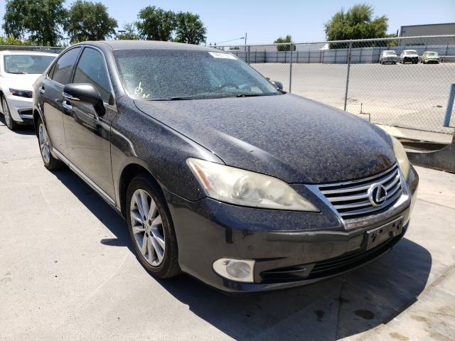 LEXUS ES 350 2010 jthbk1eg6a2359503