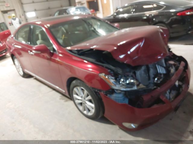 LEXUS ES 350 2010 jthbk1eg6a2363387