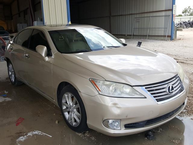 LEXUS ES 350 2010 jthbk1eg6a2364524