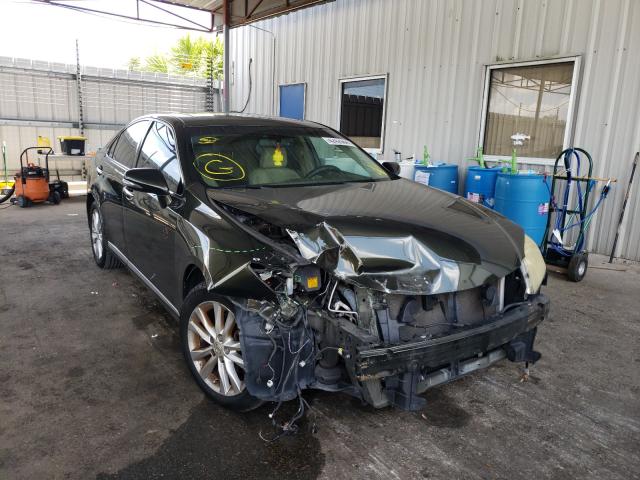 LEXUS ES 350 2010 jthbk1eg6a2364992