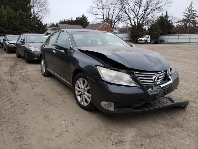 LEXUS ES 350 2010 jthbk1eg6a2367259