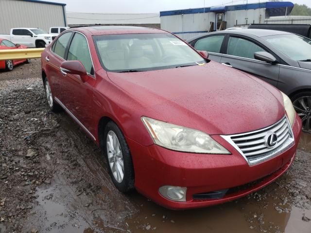 LEXUS ES 350 2010 jthbk1eg6a2370081