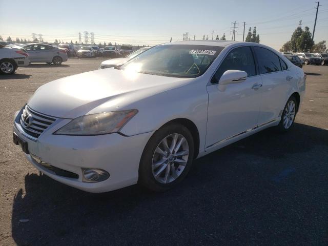 LEXUS ES 350 2010 jthbk1eg6a2371571