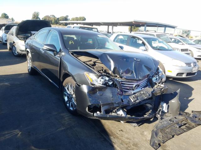 LEXUS ES 350 2010 jthbk1eg6a2376768