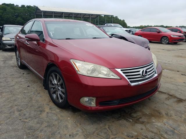 LEXUS ES 350 2010 jthbk1eg6a2376785