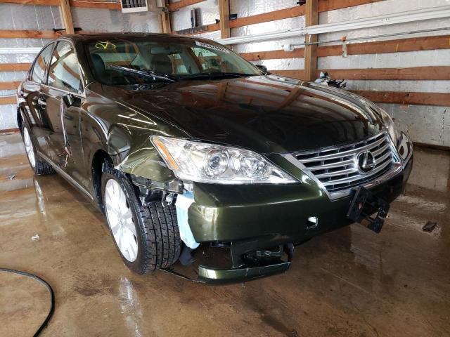 LEXUS ES 350 2010 jthbk1eg6a2381341