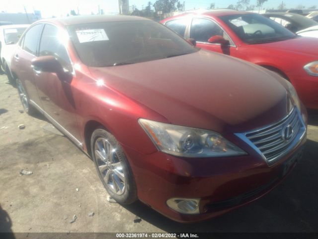 LEXUS ES 350 2010 jthbk1eg6a2383736