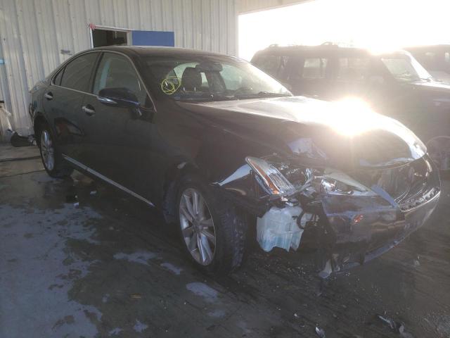 LEXUS ES 350 2010 jthbk1eg6a2387026