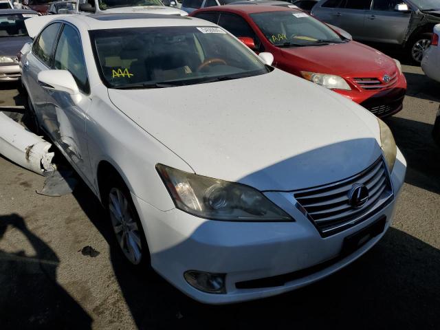 LEXUS ES 350 2010 jthbk1eg6a2387849