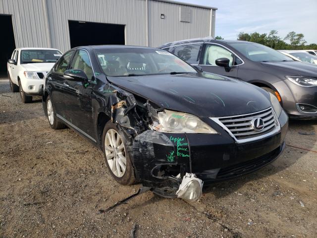 LEXUS ES 350 2010 jthbk1eg6a2388497