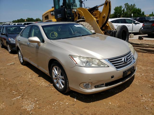 LEXUS ES 350 2010 jthbk1eg6a2389861