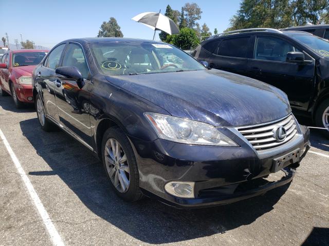 LEXUS ES 350 2010 jthbk1eg6a2391514