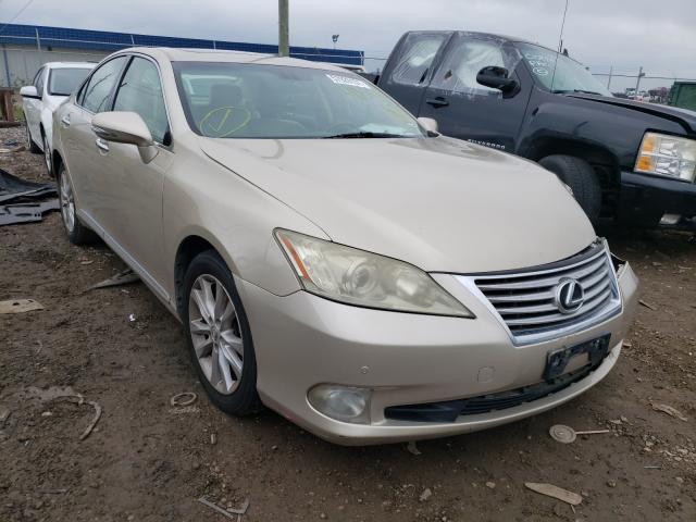 LEXUS ES 350 2010 jthbk1eg6a2403810