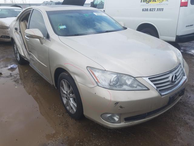 LEXUS ES 350 2010 jthbk1eg6a2408604