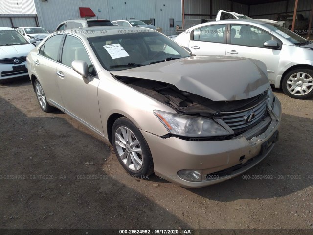 LEXUS ES 350 2010 jthbk1eg6a2414564