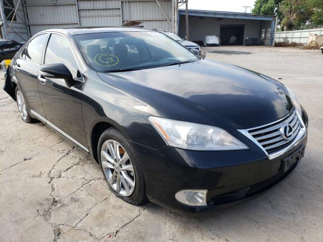 LEXUS ES 350 2012 jthbk1eg6c2494242