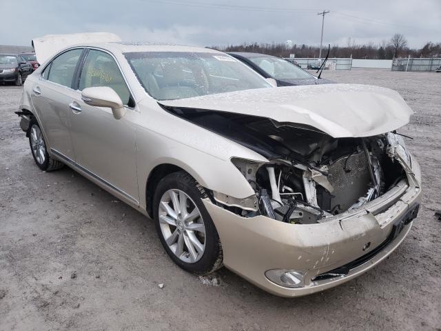 LEXUS ES 350 2012 jthbk1eg6c2497755