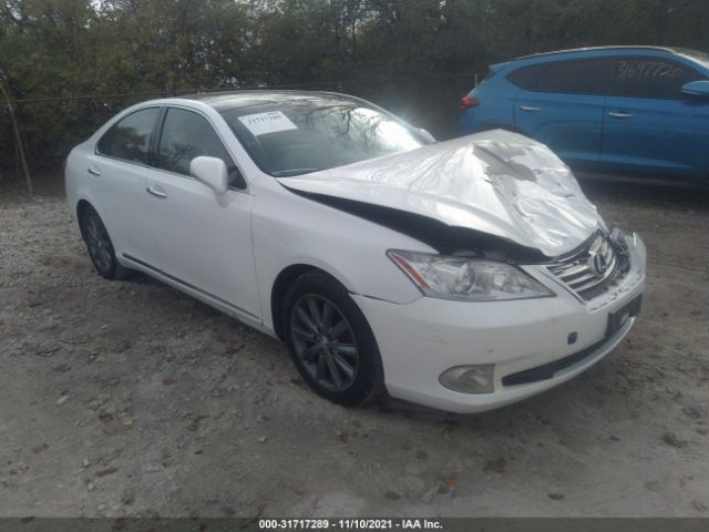 LEXUS ES 350 2010 jthbk1eg7a2342953