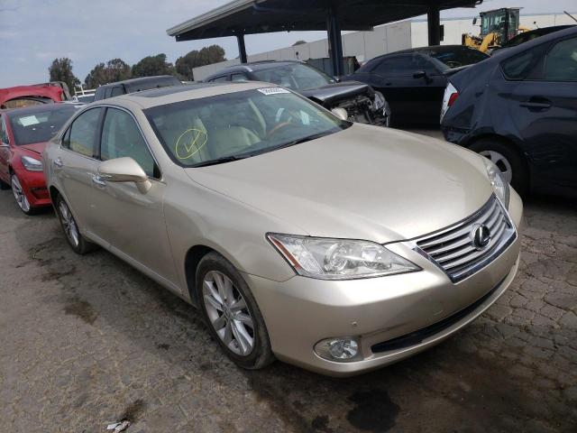 LEXUS ES 350 2010 jthbk1eg7a2343312