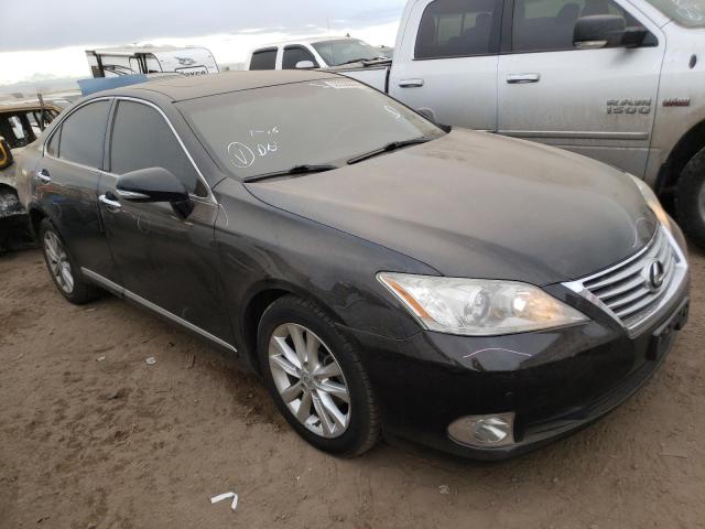 LEXUS ES 350 2010 jthbk1eg7a2344797