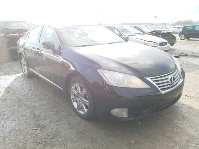 LEXUS ES 350 2010 jthbk1eg7a2345402