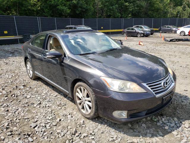 LEXUS ES 350 2010 jthbk1eg7a2346176