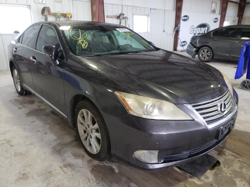 LEXUS ES 350 2010 jthbk1eg7a2348347