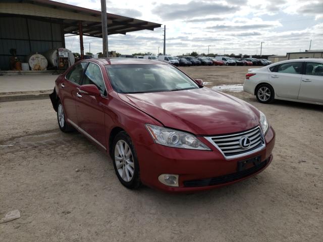 LEXUS ES 350 2010 jthbk1eg7a2352088