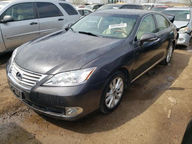 LEXUS ES350 2010 jthbk1eg7a2353256